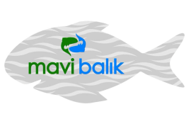 Mavi Balık